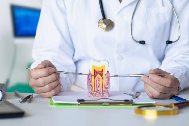 Best Urgent Care for Lost Fillings or Crowns in Bloomville, OH